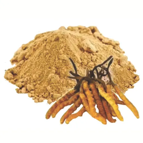 Bột Đông Trùng (50g) - Đặc sản NAFARM chính hãng