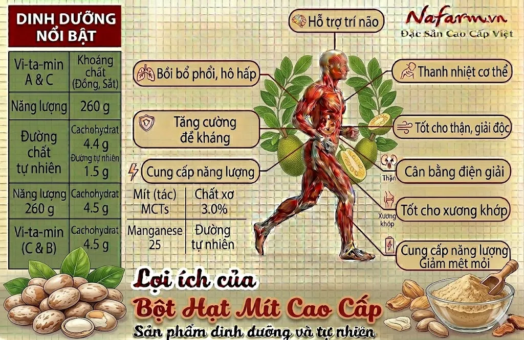 bot-hat-mit-cao-cap-freeze-dried-jackfruit-seed-powder-dac-san-nafarm-vn-093-8828-553-1