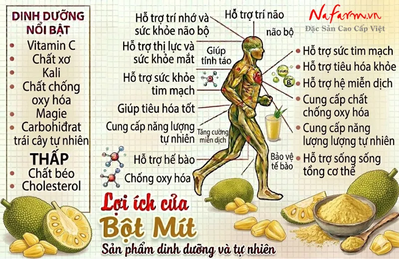 bot-mit-jackfruit-powder-say-thang-hoa-nong-san-dac-san-nafarm-0938-828-553-4