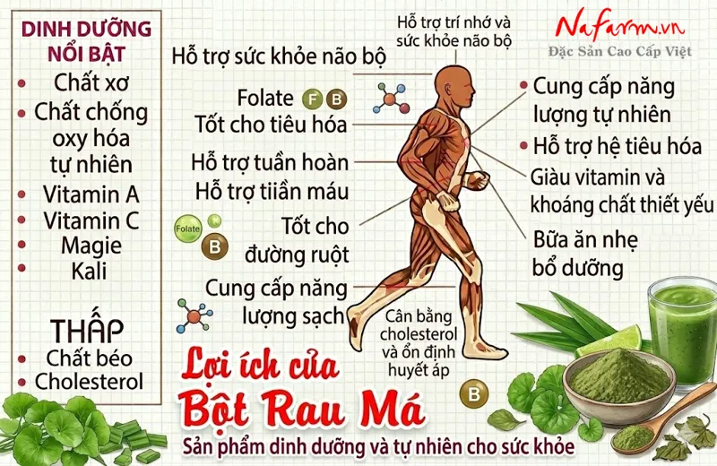 bot-rau-ma-gotu-kola-powder-say-thang-hoa-nong-san-dac-san-nafarm-0938-828-553-4