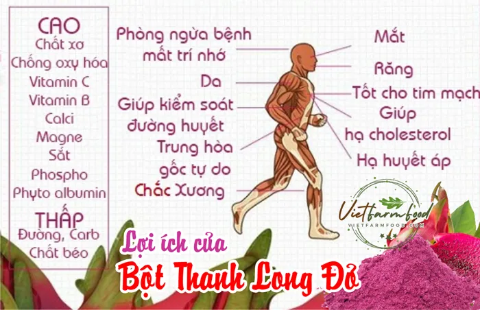 bot-thanh-long-do-red-dragon-fruit-powder-say-phun-nong-san-viet-farm-food