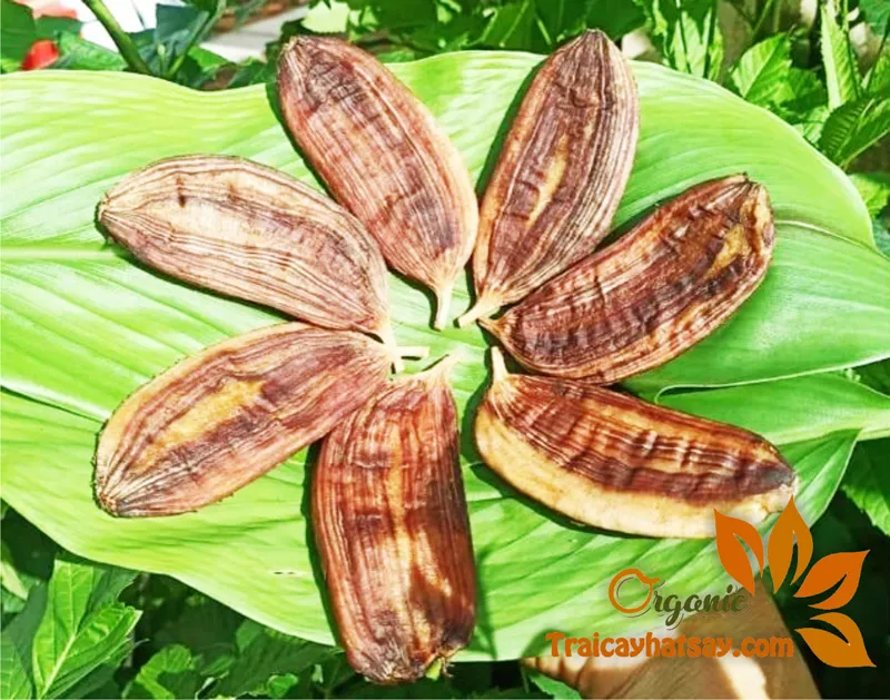 chuoi-hong-say-kho-vo-lua-nguyen-trai-ep