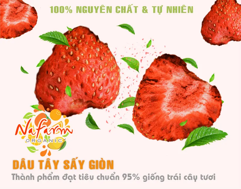 dau-tay-say-gion-khong-duong-dac-san-cao-cap-nafarm-vn-093-8828-553 dau-tay-say-gion-khong-duong-dac-san-cao-cap-nafarm-vn-093-8828-553