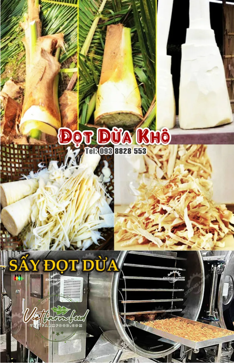 cu-hu-dua-dot-dua-say-kho-dried-coconut%20buds-nong-san-cao-cap-viet-farm-food-093-8828-553