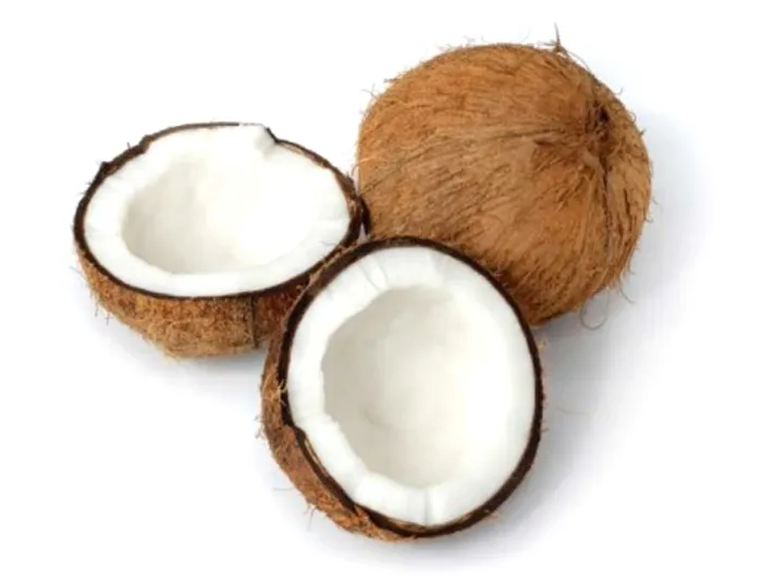 dua-kho-say-gion-don-trai-cay-hat-say-com dua-kho-say-gion-don-trai-cay-hat-say-com