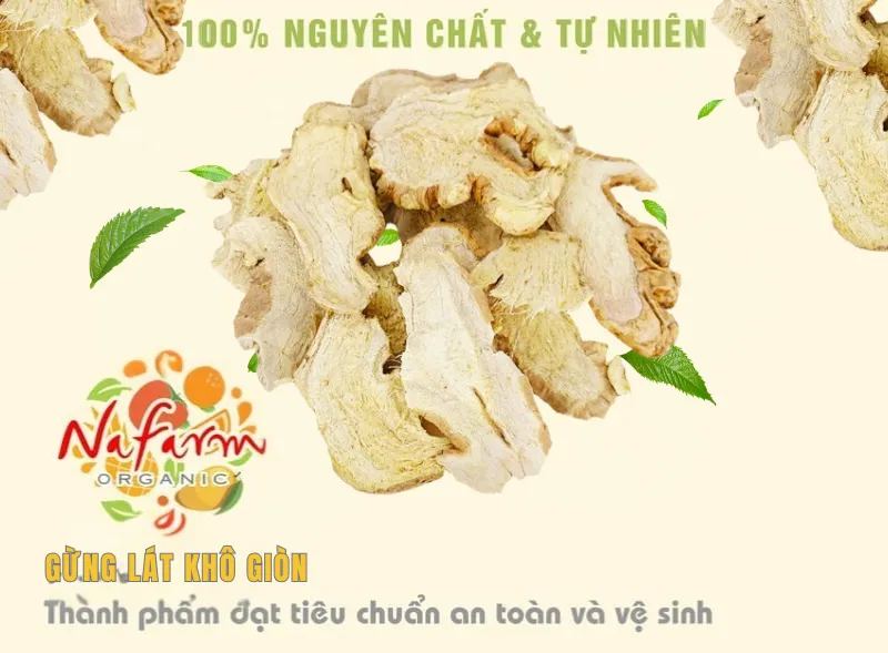 gia-vi-gung-lat-mieng-say-thang-hoa-dong-kho-freeze-dried-ginger-pieces-nong-san-dac-san-nafarm-0938-828-553