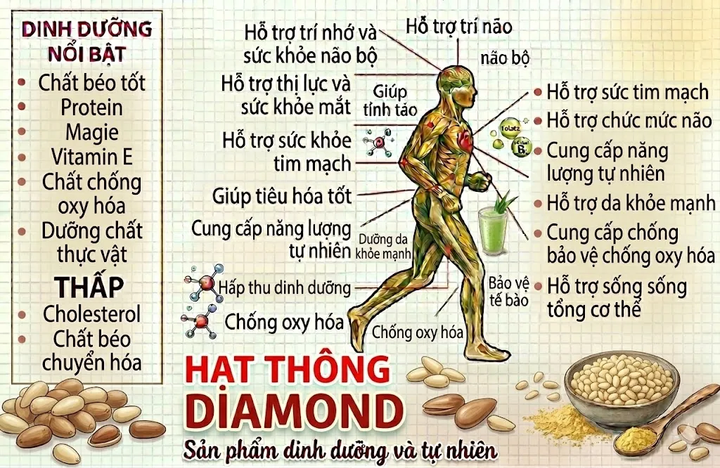 hat-thong-diamon-diamon-pine-nuts-say-thang-hoa-nong-san-dac-san-nafarm-0938-828-553-3