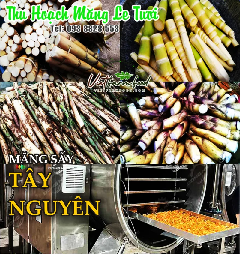 mang-le-tay-nguyen-kho-dried-bamboo-shoots-nong-san-cao-cap-vietf-farm-food-093-8828-553