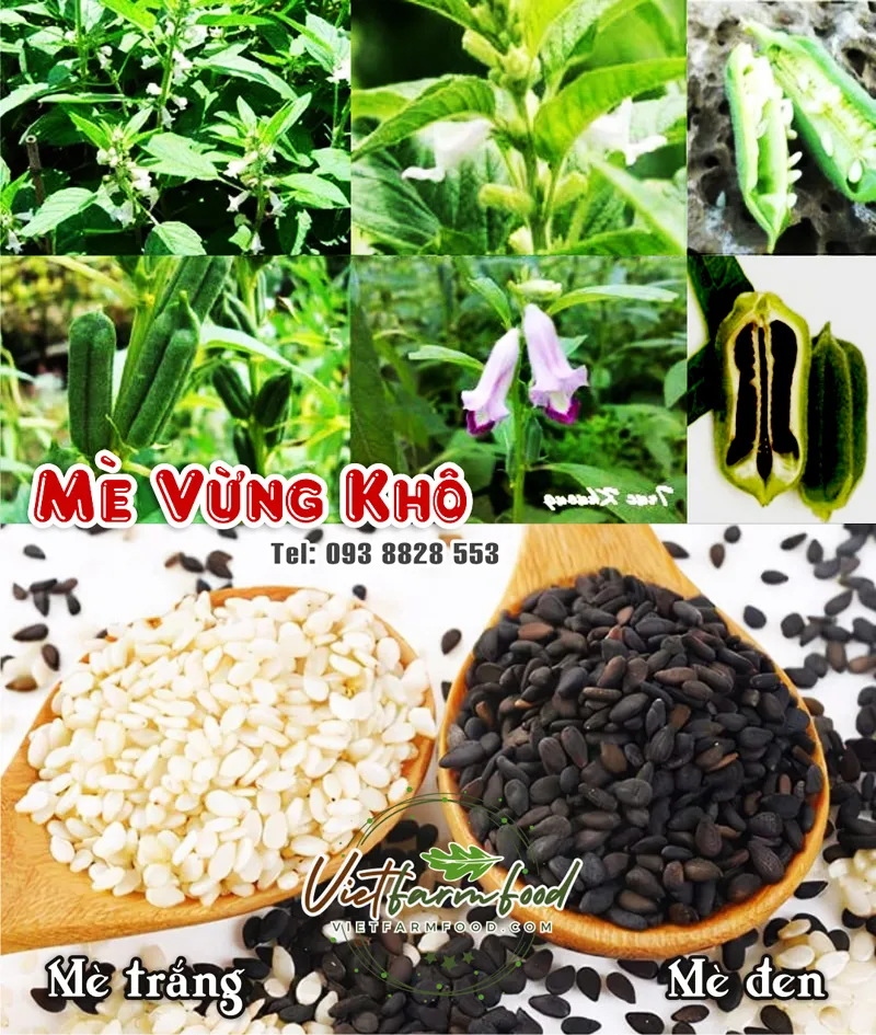 hat-vung-me-trang-den-white-black-sesame-nong-san-cao-cap-viet-farm-food-093-8828-553