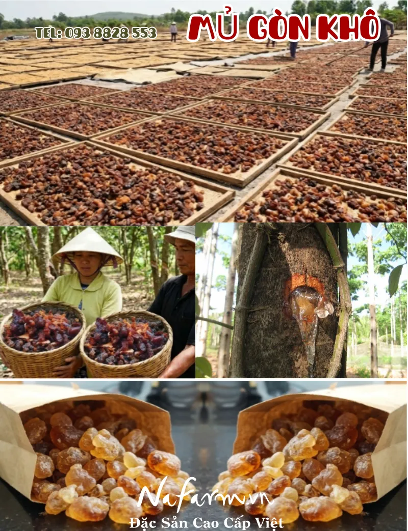mu-gon-kho-dried-kapo-gum-nong-san-viet-farm-food-093-8828-553