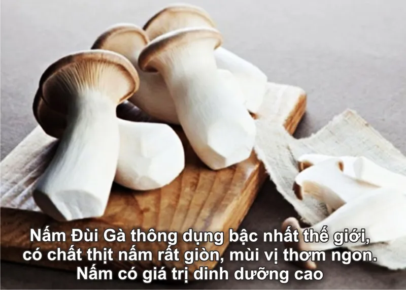 nam-dui-ga-kho-dried-chicken-drumstick-mushrooms-nong-san-viet-farm-food-093-8828-553