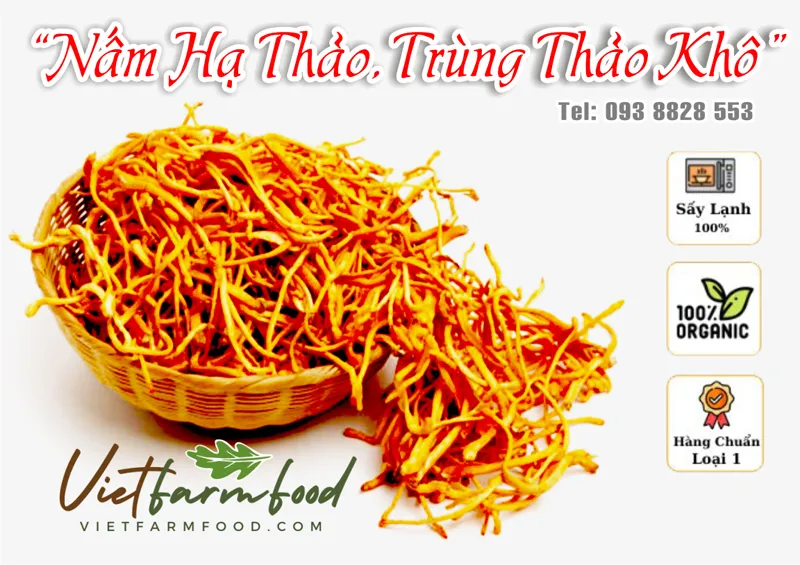 nam-trung-ha-thao-kho-dried-cordyceps-mushrooms-nong-san-viet-vietfarmfood-093-8828-553