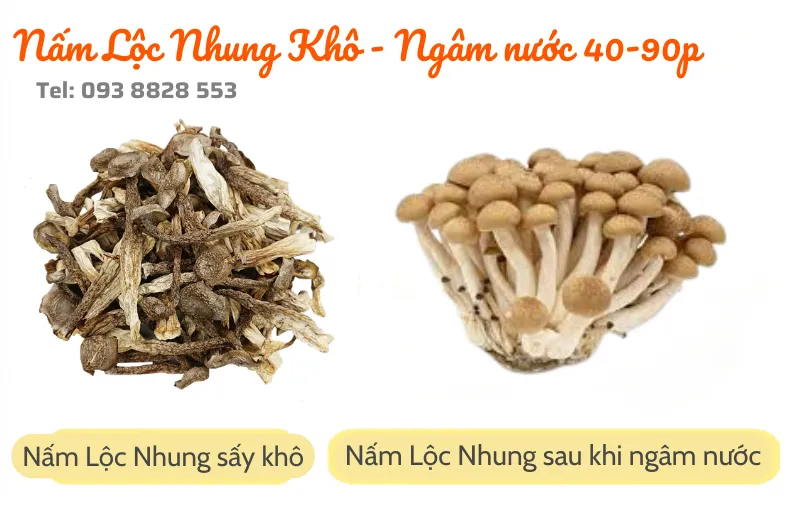 nam-loc-nhung-kho-dried-velvet-mushrooms-nong-san-viet-farm-food-093-8828-553