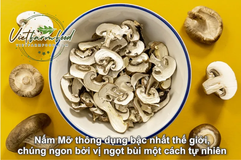 nam-mo-kho-dried-button-mushrooms-nong-san-cao-cap-viet-farm-food-093-8828-553