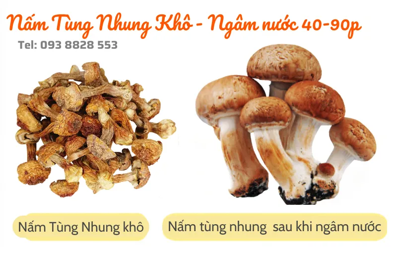 nam-tung-nhung-kho-dried-matsutake-mushrooms-nong-san-viet-farm-food-093-8828-553
