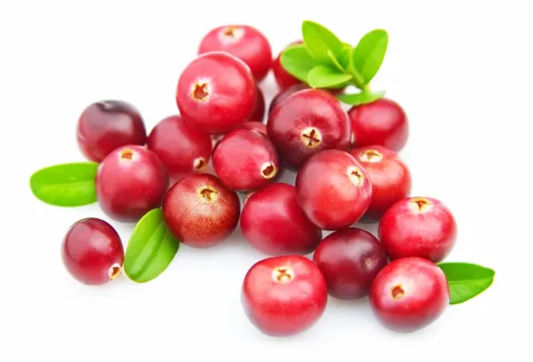 Nam-viet-quat-say-kho-dac-san-cao-cap