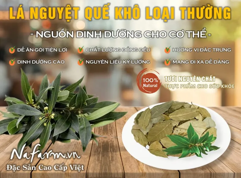 la-nguyet-que-kho-loai-thuong-say-doi-luu-regular-dried-bay-leaves-dac-san-nong-san-cao-cap-viet-farm-food-l-hotline-093-8828-553-1 la-nguyet-que-kho-loai-thuong-say-doi-luu-regular-dried-bay-leaves-dac-san-nong-san-cao-cap-viet-farm-food-l-hotline-093-8828-553-1