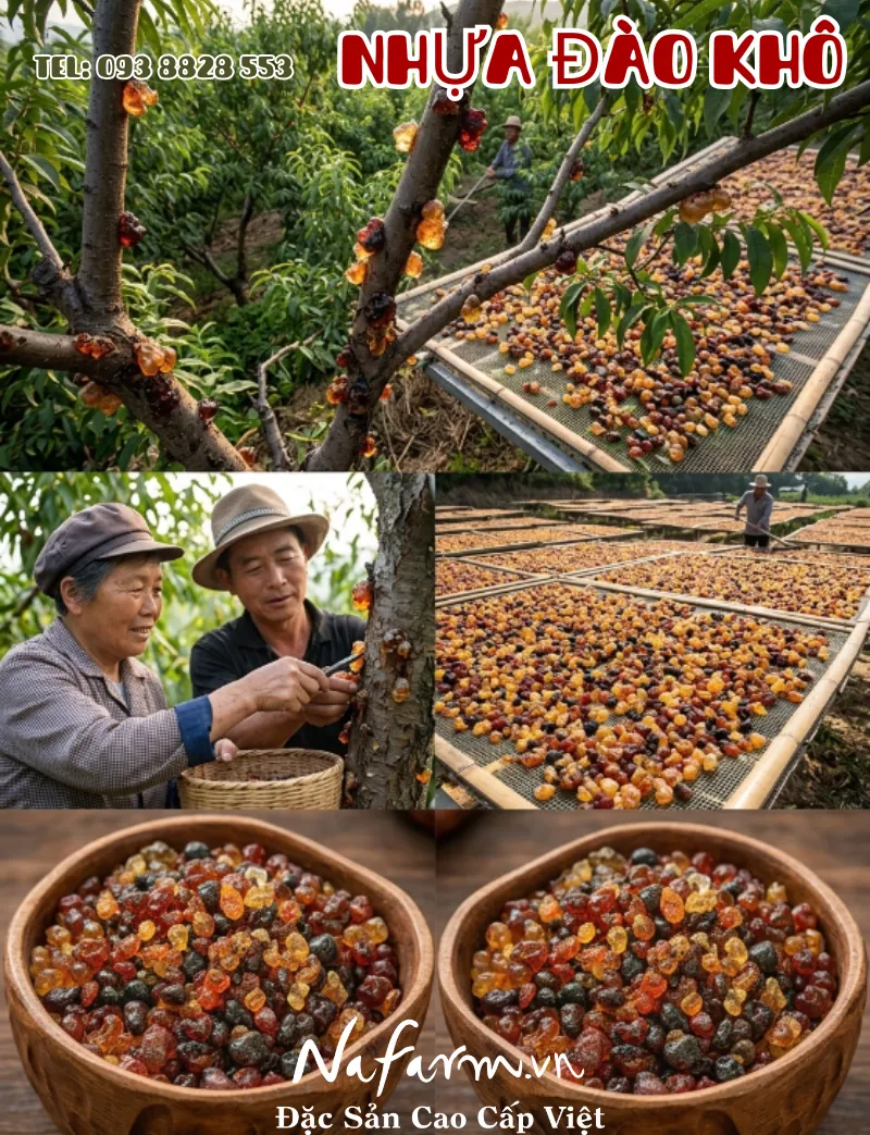 nhua-dao-kho-dried-peach-gum-resin-nong-san-viet-farm-food-093-8828-553