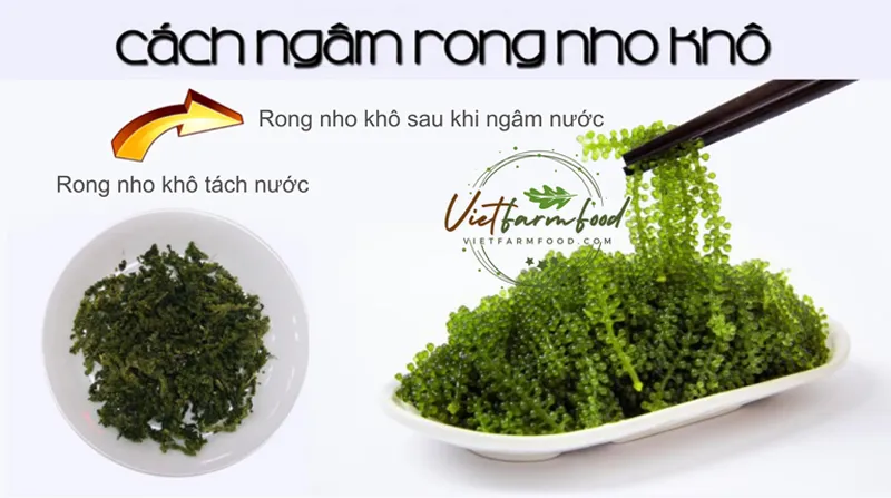 rong-tach-nuoc-say-kho-nha-trang-dehydrated-dried-seaweed--nong-san-cao-cap-viet-farm-food-093-8828-553