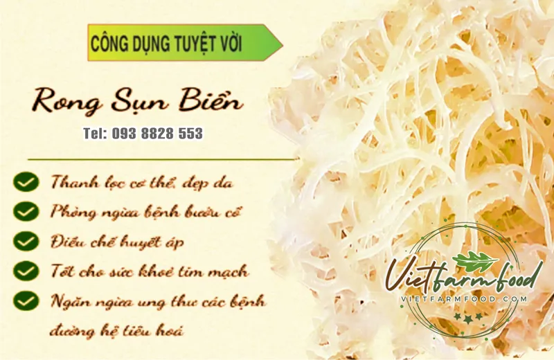 cong-dung-loi-ich-rong-sun-kho-dried-seaweed-nong-san-viet-farm-food-093-8828-553 cong-dung-loi-ich-rong-sun-kho-dried-seaweed-nong-san-viet-farm-food-093-8828-553
