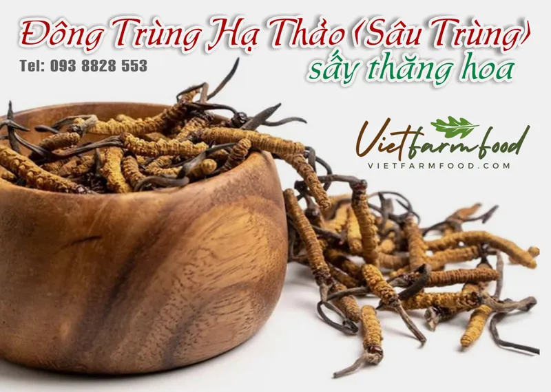 dong-trung-ha-thao-sau-trung-kho-dried-cordyceps-nong-san-viet-farm-food-093-8828-553-