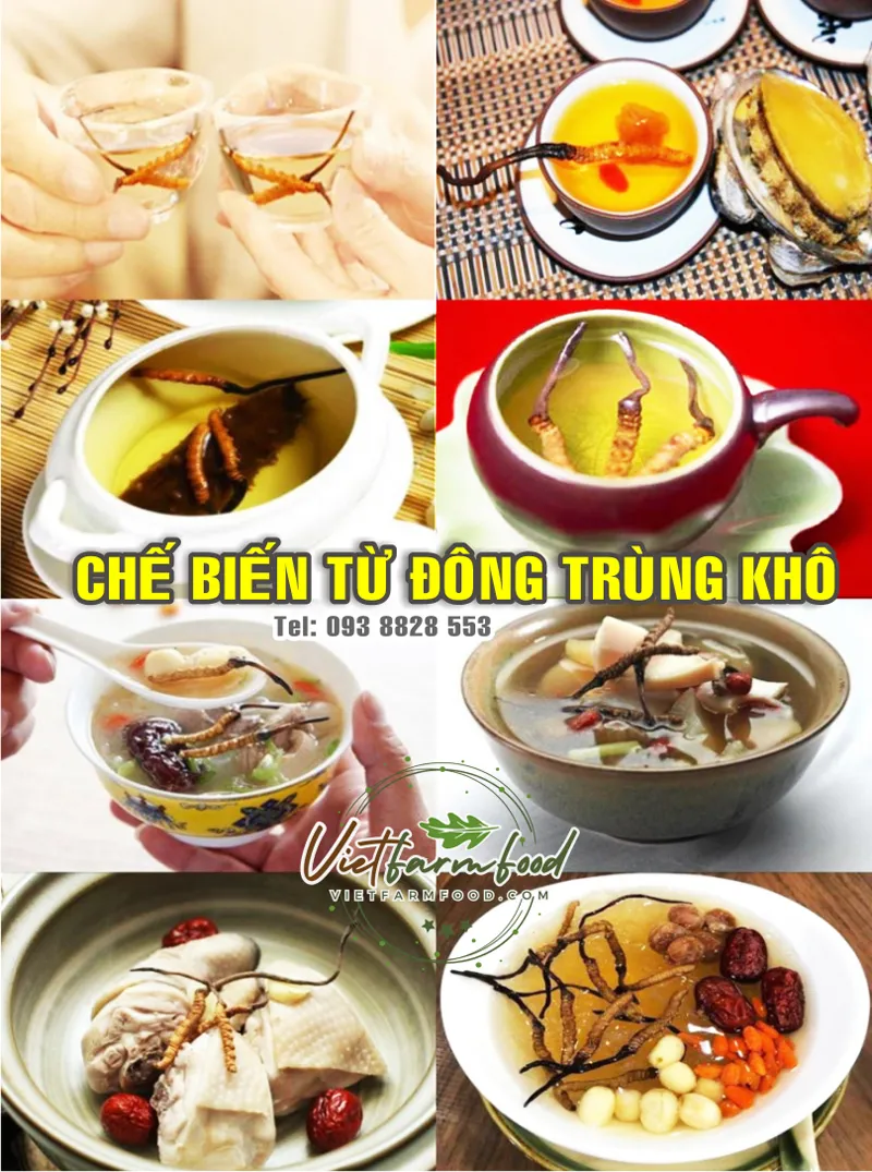 che-bien-tu-dong-trung-ha-thao-sau-trung-kho-dried-cordyceps-nong-san-viet-farm-food-093-8828-553