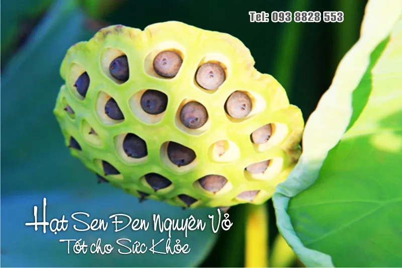 hat-sen-kho-den-nguyen-vo-dac-san-viet-farm-food hat-sen-kho-den-nguyen-vo-dac-san-viet-farm-food