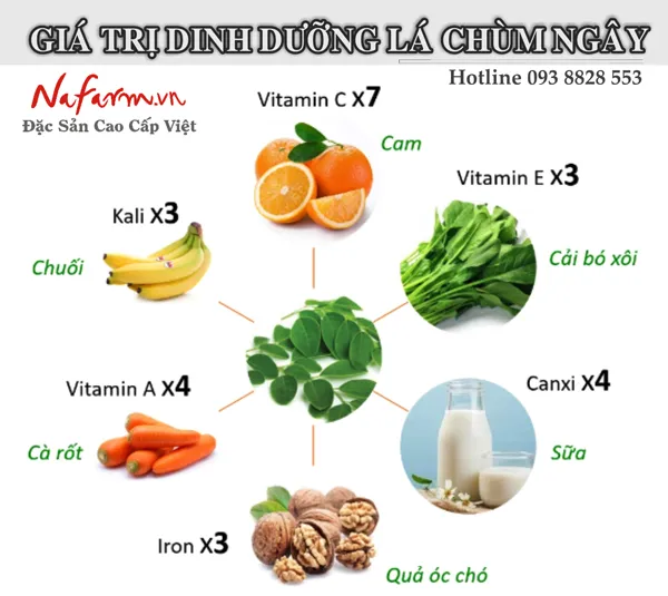 tra-chum-ngay-dac-san-nafarm-vn-0938-828-553
