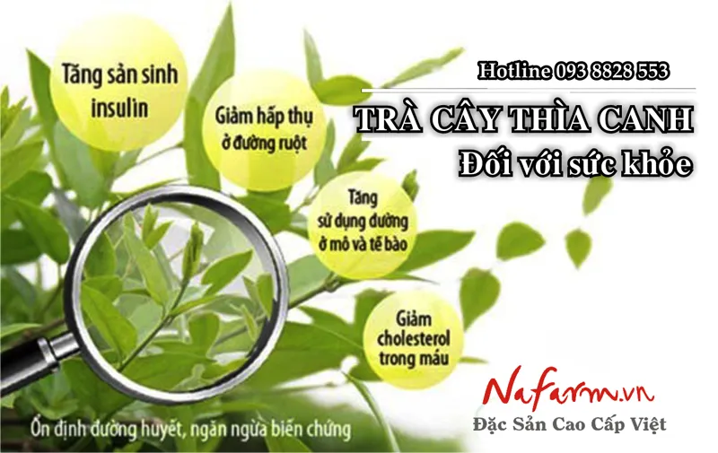 tra-day-thia-canh-danh-cho-nguoi-tieu-duong-dac-san-nafarm-vn-0938-828-553