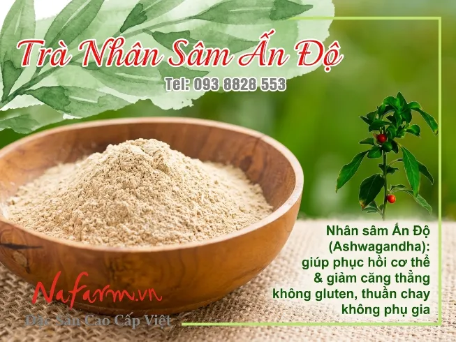 tra-nhan-sam-an-ashwagandha-dr-herb-dac-san-nafarm-093-8828-553