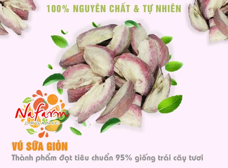 vu-sua-say-gion-don-khong-duong-say-dong-kho-thang-hoa-crispy-dried-star-apple-no-sugar-free-dac-san-cao-cap-nafarm-vn-093-8828-553-3
