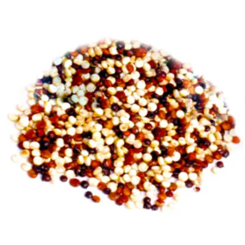 Diêm Mạch Mix Hữu Cơ Absolute (800g) - Đặc sản NAFARM chính hãng