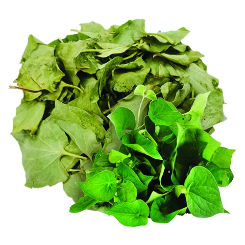 Diếp Cá Khô Giòn (100g) - Đặc sản NAFARM chính hãng