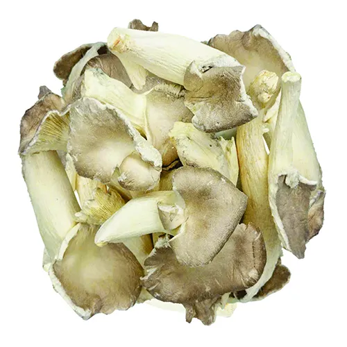 Nấm Bào Ngư Giòn (100g) - Đặc sản NAFARM chính hãng
