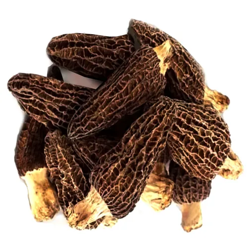 Nấm bụng dê khô (100g) - Đặc sản NAFARM chính hãng
