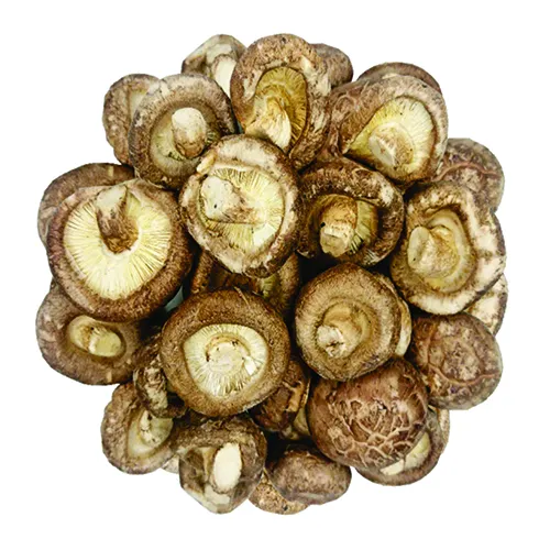 Nấm Đông Cô Giòn (100g) - Đặc sản NAFARM chính hãng