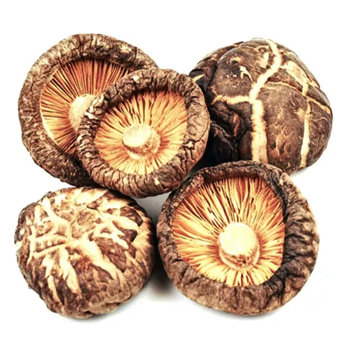 Nấm đông cô khô (500g) - Đặc sản NAFARM chính hãng