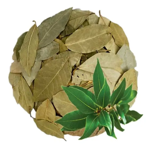 Nguyệt Quế Khô (500g) - Đặc sản NAFARM chính hãng