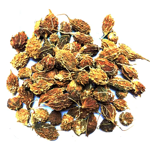 Trà Khổ Qua Rừng Trái (500g) - Đặc sản NAFARM chính hãng