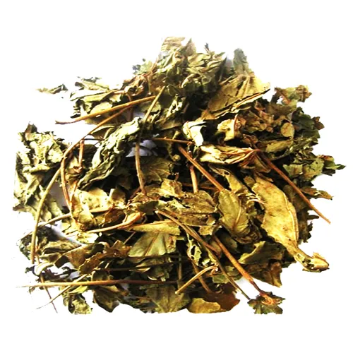 Trà Lá Cây Mã Đề (500g) - Đặc sản NAFARM chính hãng